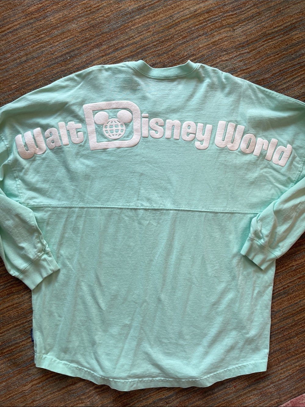 Disney Mint Green Walt Disney World Long Sleeve Spirit Jersey Medium